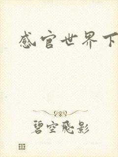 感官世界下载