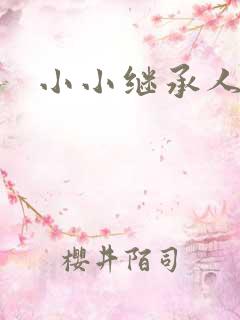 小小继承人