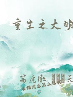 重生之大明王朝