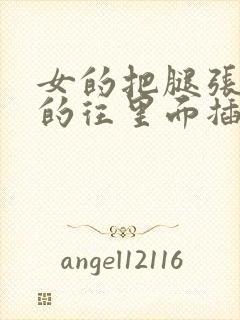 女的把腿张开男的往里面插