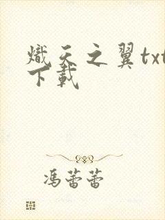 炽天之翼txt下载