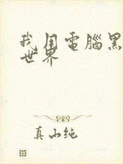 我用电脑黑了全世界