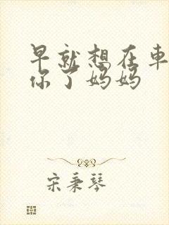 早就想在车里要你了妈妈