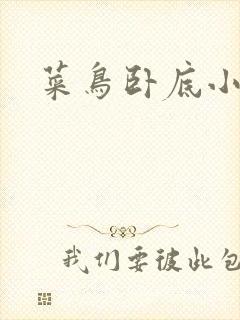 菜鸟卧底小正太