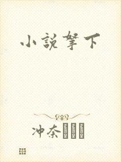 小说拿下