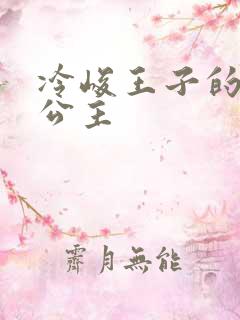 冷峻王子的完美公主