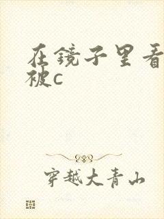 在镜子里看自己被c