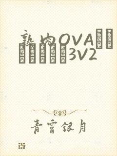 熟肉OVAちゃんはしたい3V2