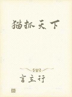 猫抓天下