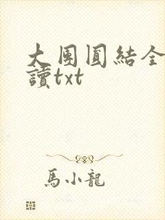 大团圆结全文阅读txt