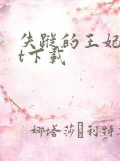 失踪的王妃txt下载