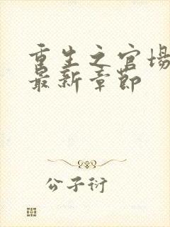 重生之官场风流最新章节