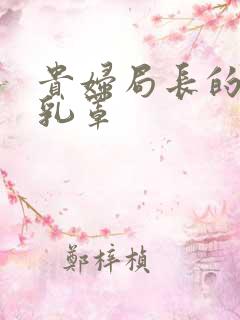 贵妇局长的蕾丝乳罩