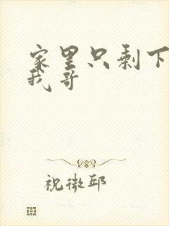 家里只剩下我和我哥