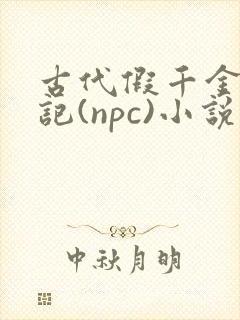 古代假千金挨日记(npc)小说