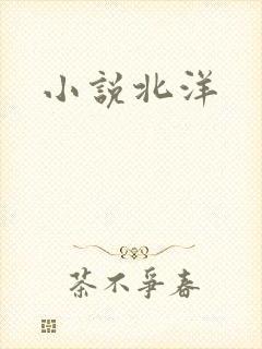 小说北洋