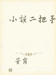 小说二把手