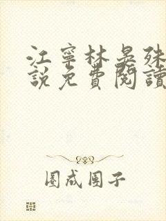 江宁林晏殊的小说免费阅读