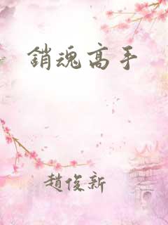 销魂高手
