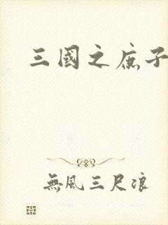 三国之庶子称雄