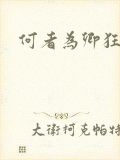 何者为卿狂
