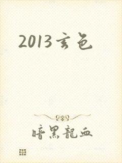 2013玄色