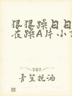 狠狠躁日日躁夜夜躁A片小说