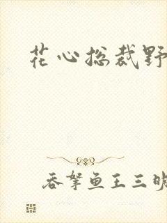 花心总裁野蛮妻