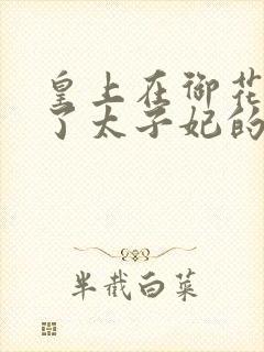 皇上在御花园c了太子妃的网剧