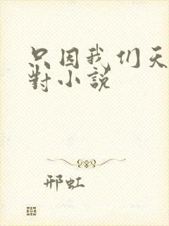 只因我们天生一对小说