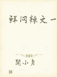 鲜网辣文一对一