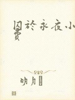 囚于永夜小说免费