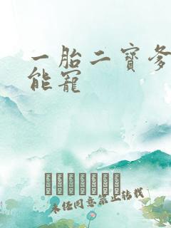 一胎二宝爹地超能宠