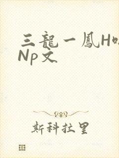 三龙一凤H啪肉Np文