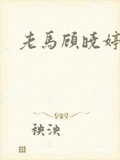 老马顾晓婷小说