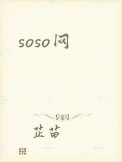 soso网