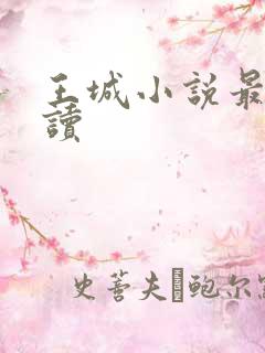 王城小说最近阅读