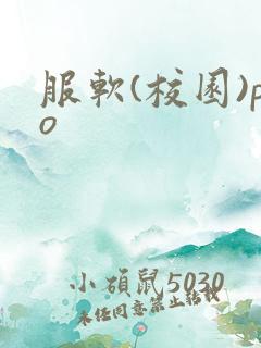 服软(校园)po