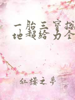 一胎三宝总裁爹地超给力全文免费阅读