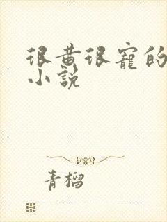 很黄很宠的总裁小说