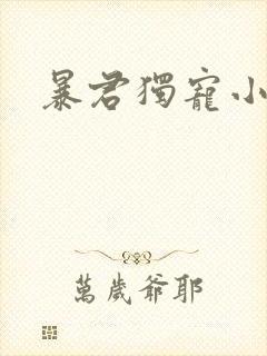 暴君独宠小俏后