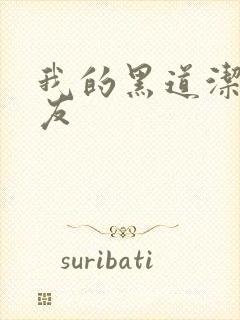 我的黑道洁癖男友