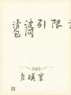 清波引 限 书包网