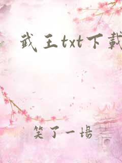武王txt下载