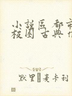 小说区 都市 校园 古典 偷拍