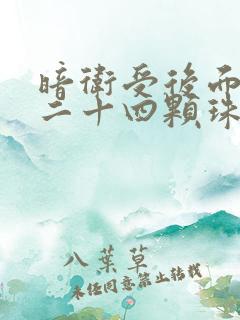 暗卫受后面被塞二十四颗珠子