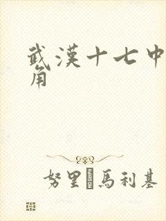 武汉十七中女主角