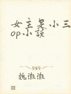 女主是小三的pop小说