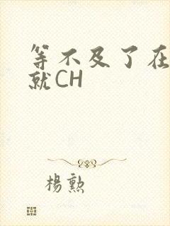 等不及了在车里就CH