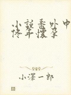 小说番外中结局佟年怀孕